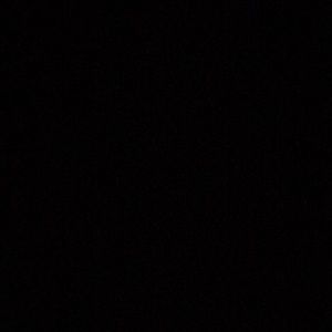 Meet your Posher, Chadwick